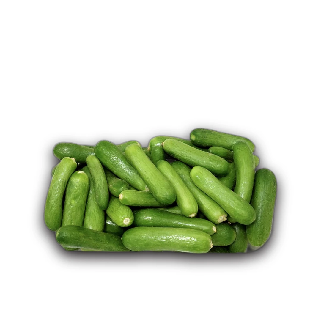 خيار صغير علبة