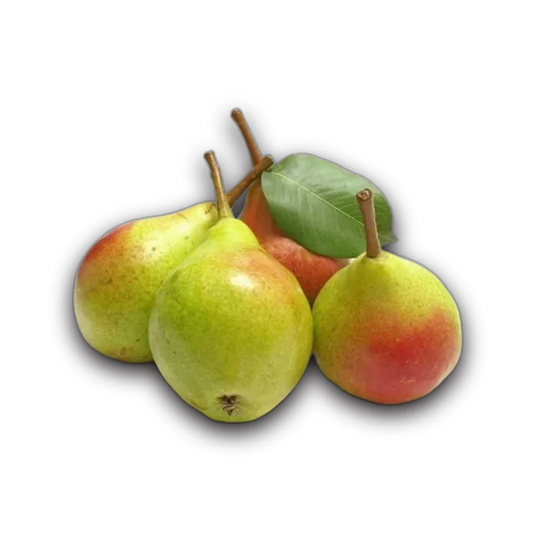 علبة بيرز