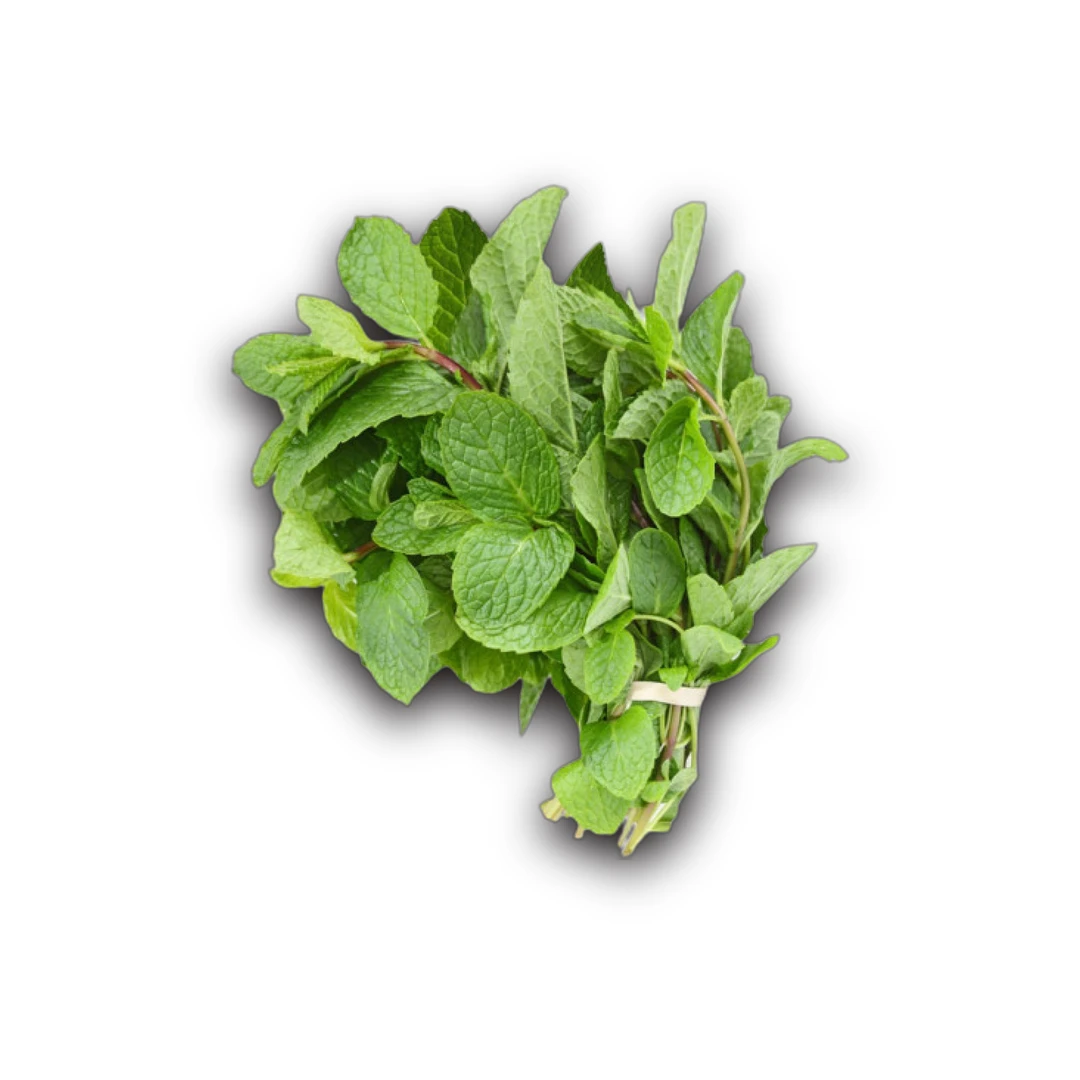 نعناع