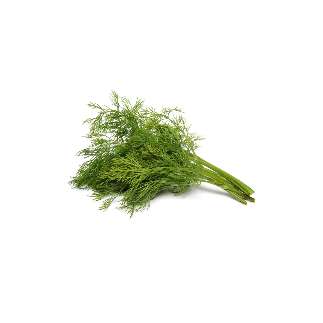 شبت