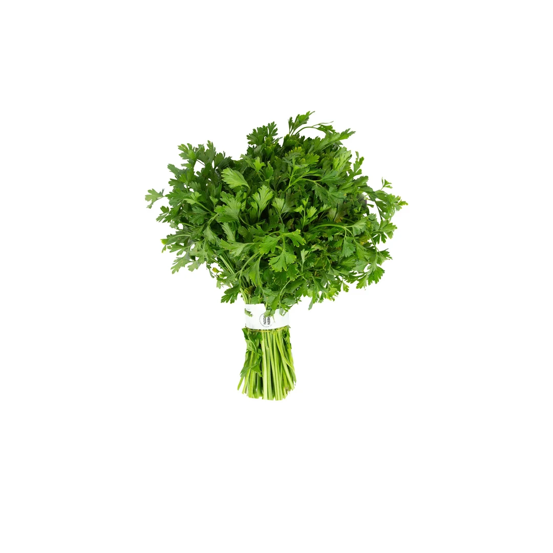 كزبرة