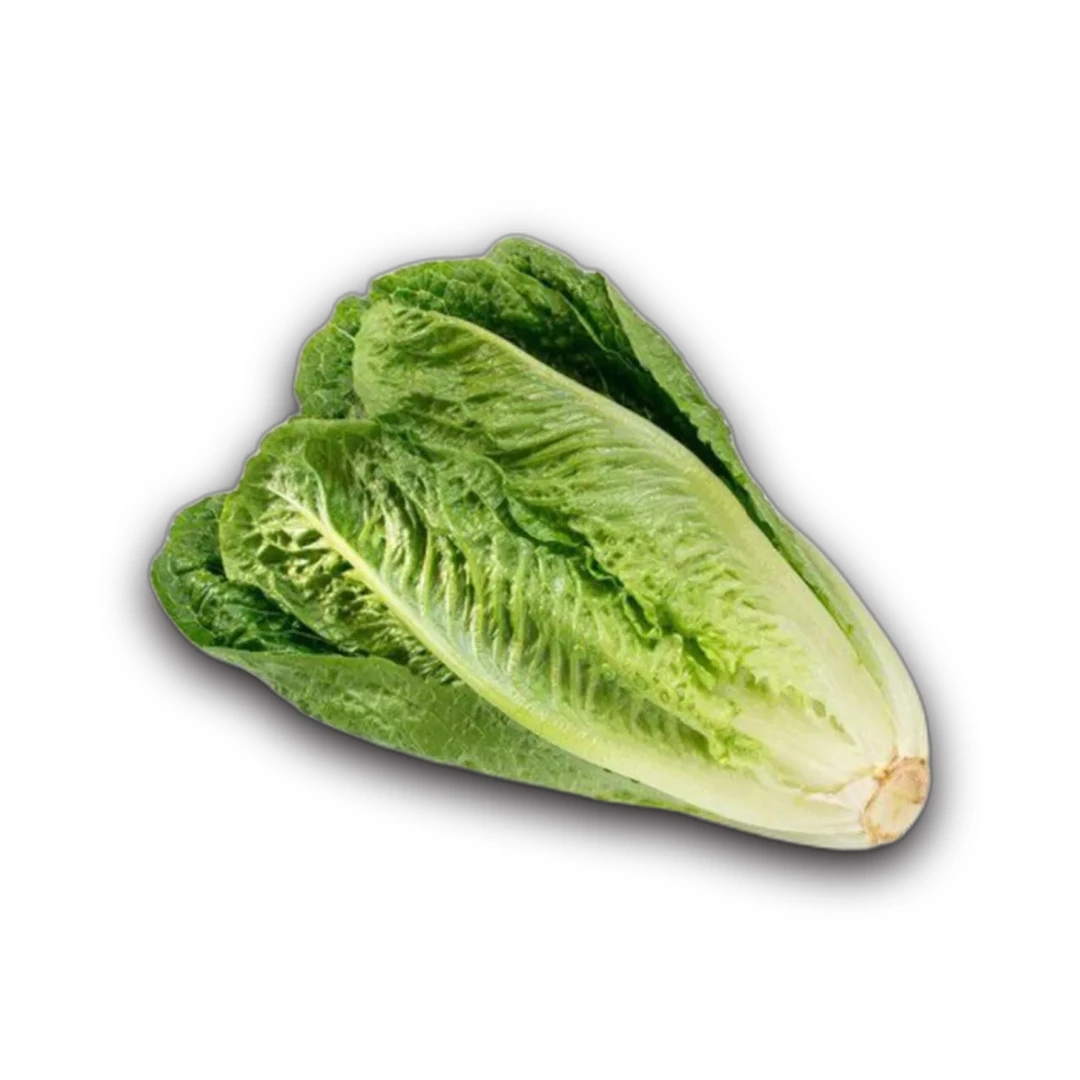 خس ١ حبة