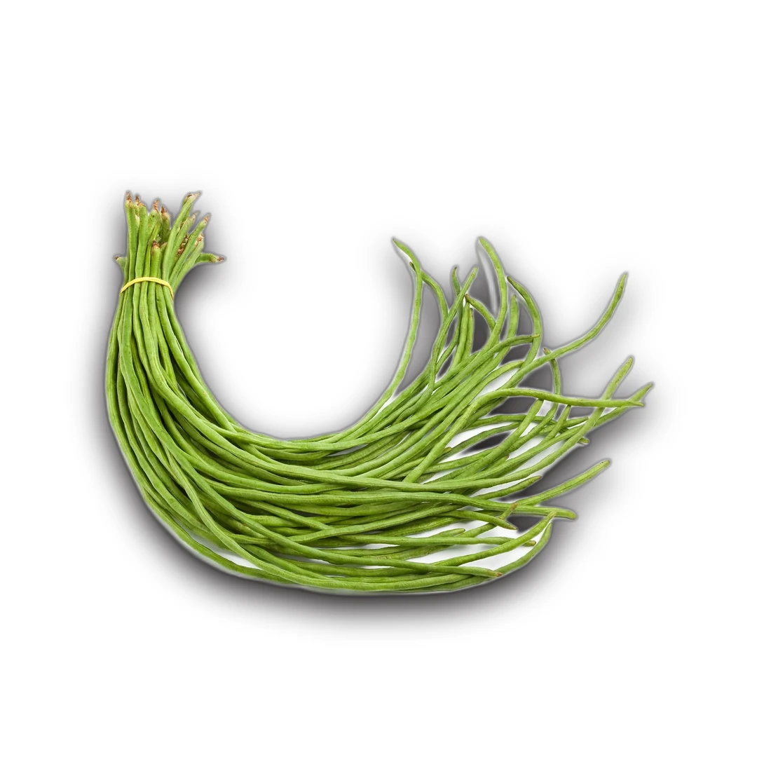 حبة فاصوليا طويلة واحدة