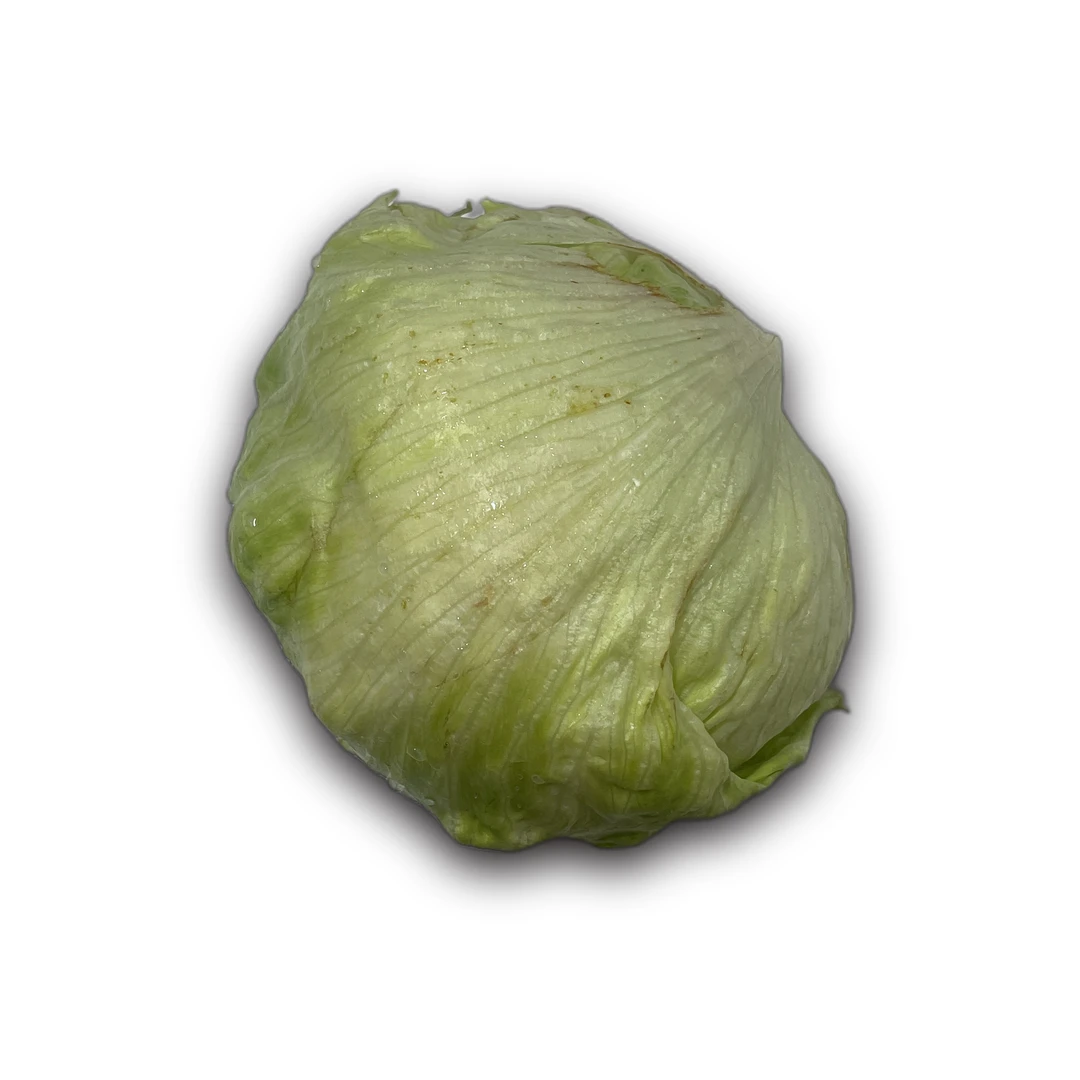 خس دائري
