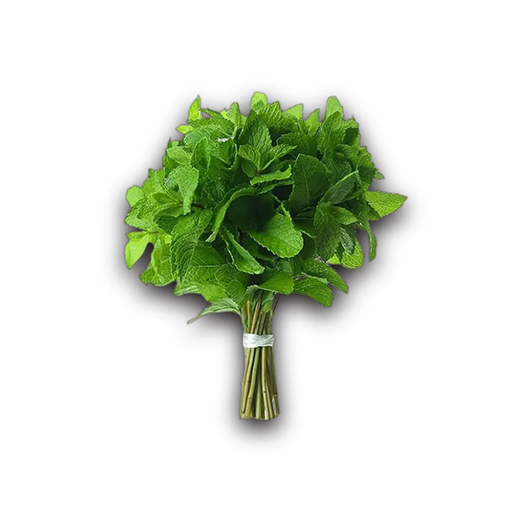 نعناع (1 كجم)