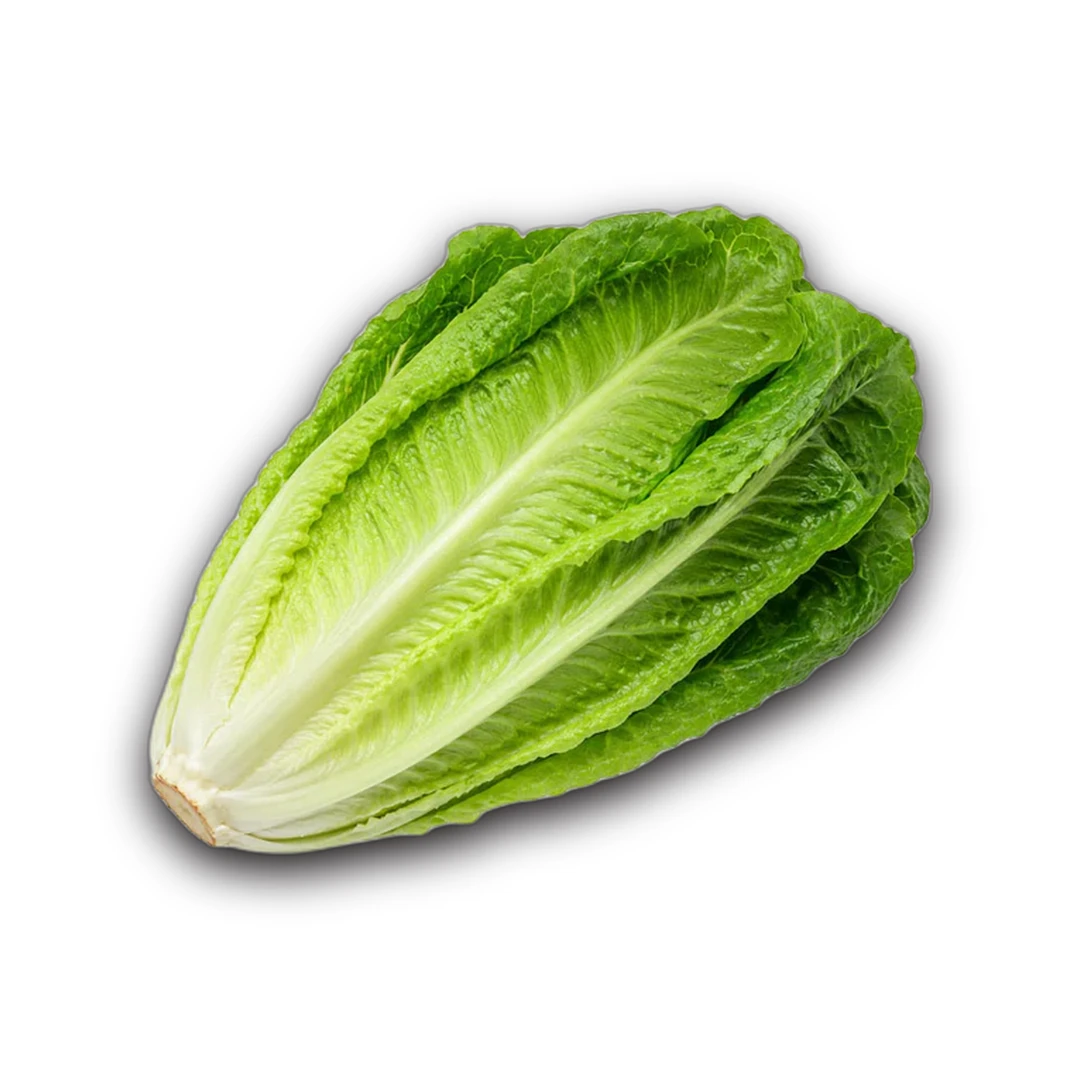 خس (1 كجم)