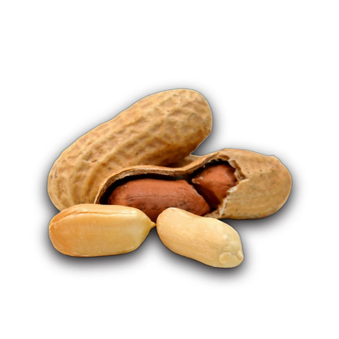 فول سوداني كيلوغرام